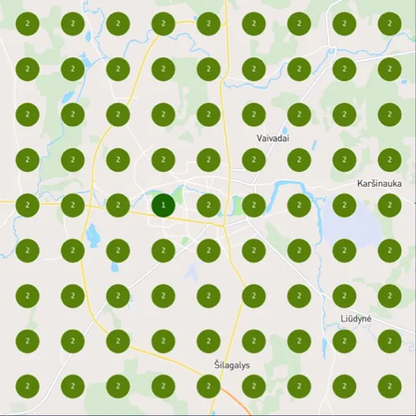 Judesio DNR “K-laser therapy Panevėžys” Google Maps grid after the work